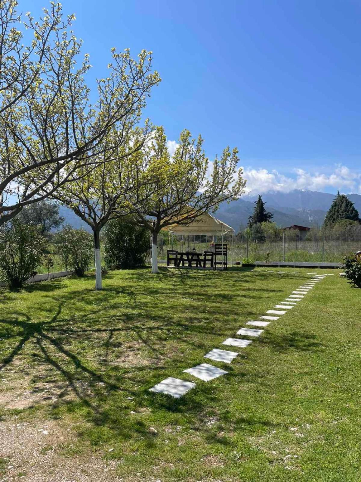 Plaka Luxury Villa Литохоро Экстерьер фото